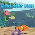 Juego Find the Fish